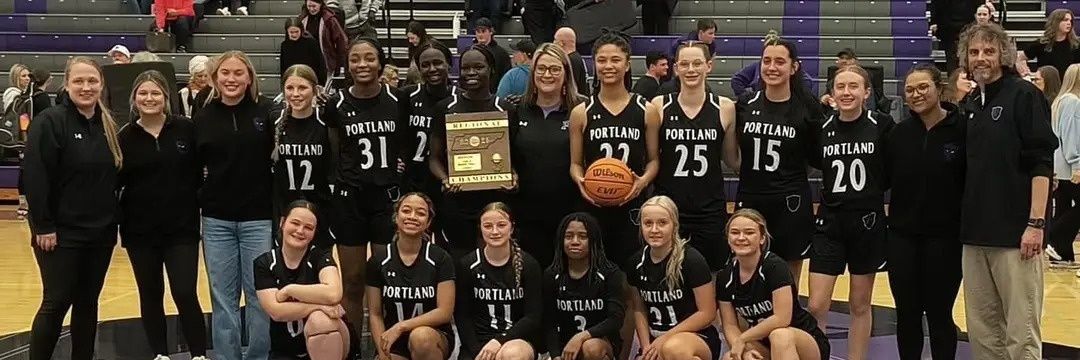 Lady Panthers Basketball banner