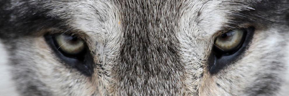 bertliu's profile banner image