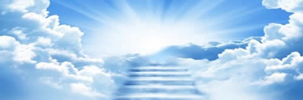 Neo_Anderson_1's profile banner image