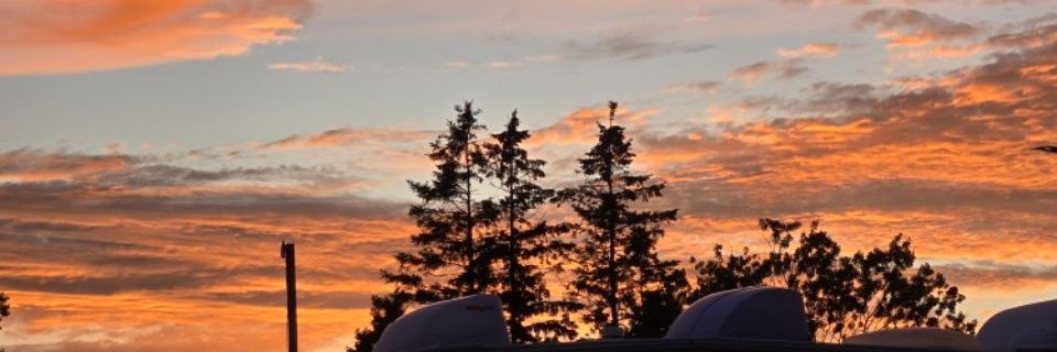 ManaliveitsTim's profile banner image