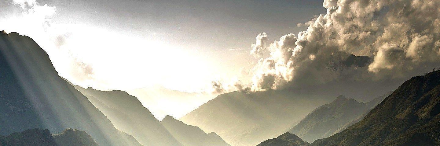 jcnmv's profile banner image