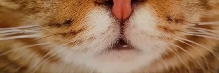 benzeroboon's profile banner image
