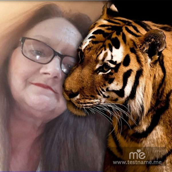 EngleJanice's profile banner image