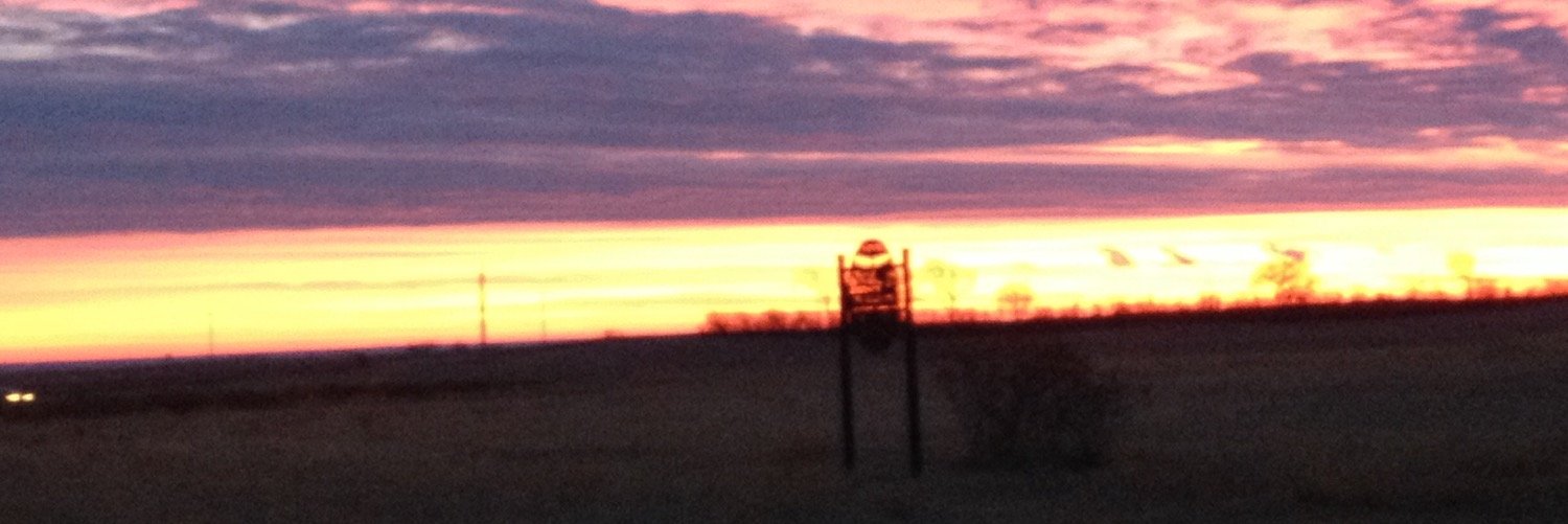 TaylorMenard2's profile banner image