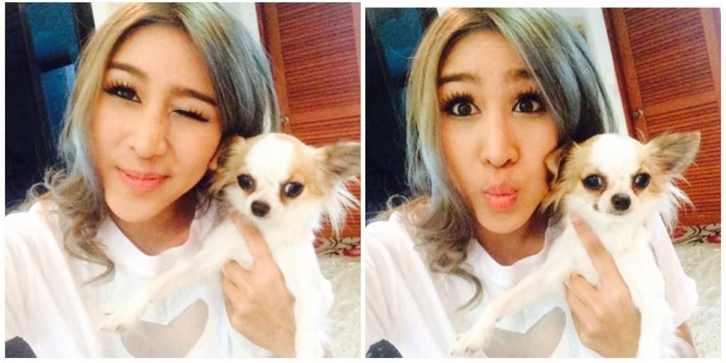 VView 🩵🦋 banner