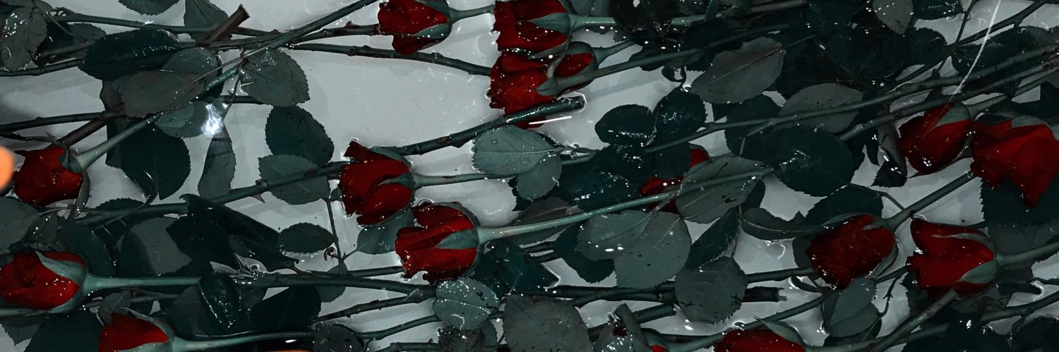 AdeliaLiata56's profile banner image