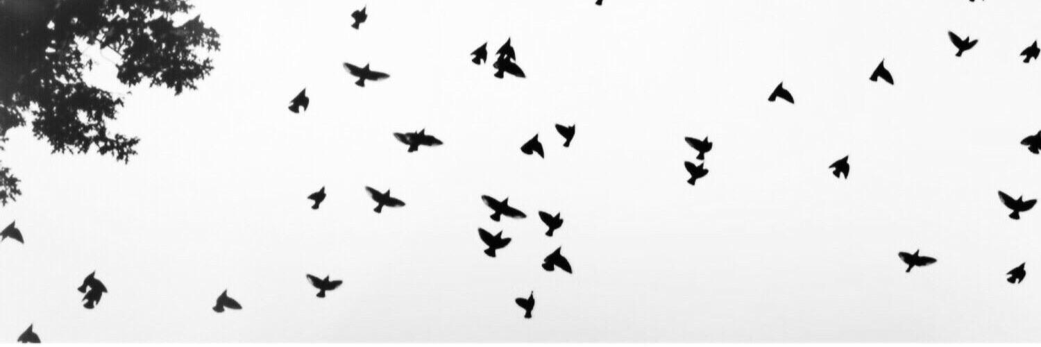 refo0_'s profile banner image