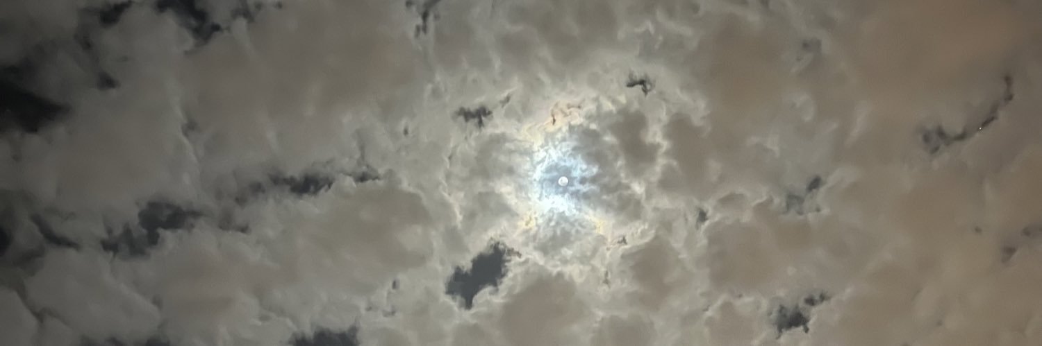 L_mf5's profile banner image