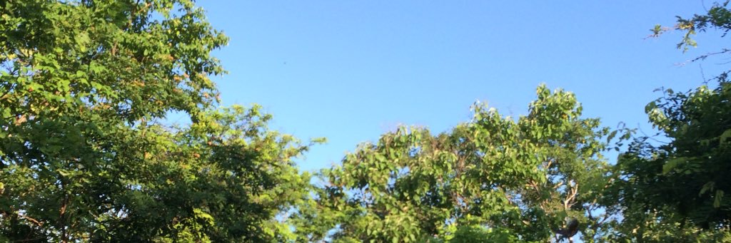 Yusufcheche's profile banner image