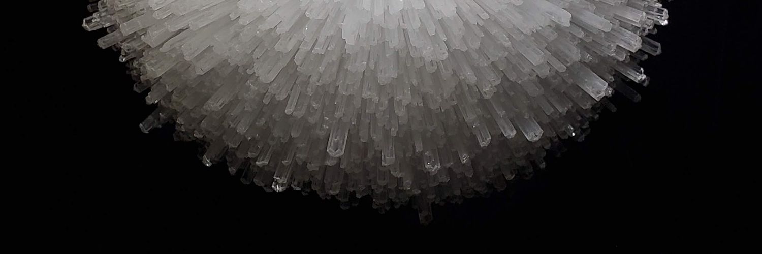 conciselee's profile banner image