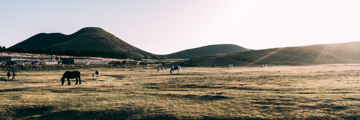 タクテぃん。 banner