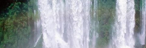 EdyGolans's profile banner image
