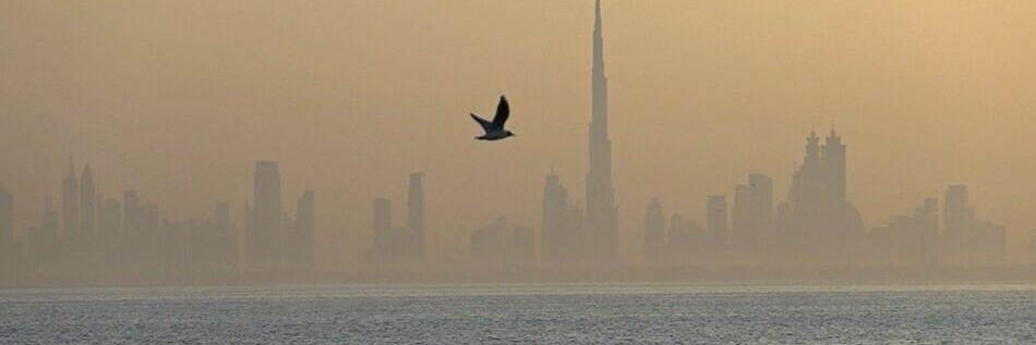cookinUAE's profile banner image