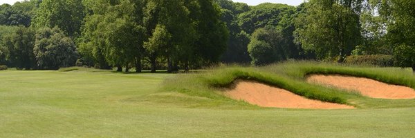 TaddyGolf Profile Banner