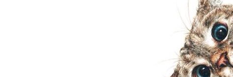 pam ♡ ੯‧̀͡u\ banner