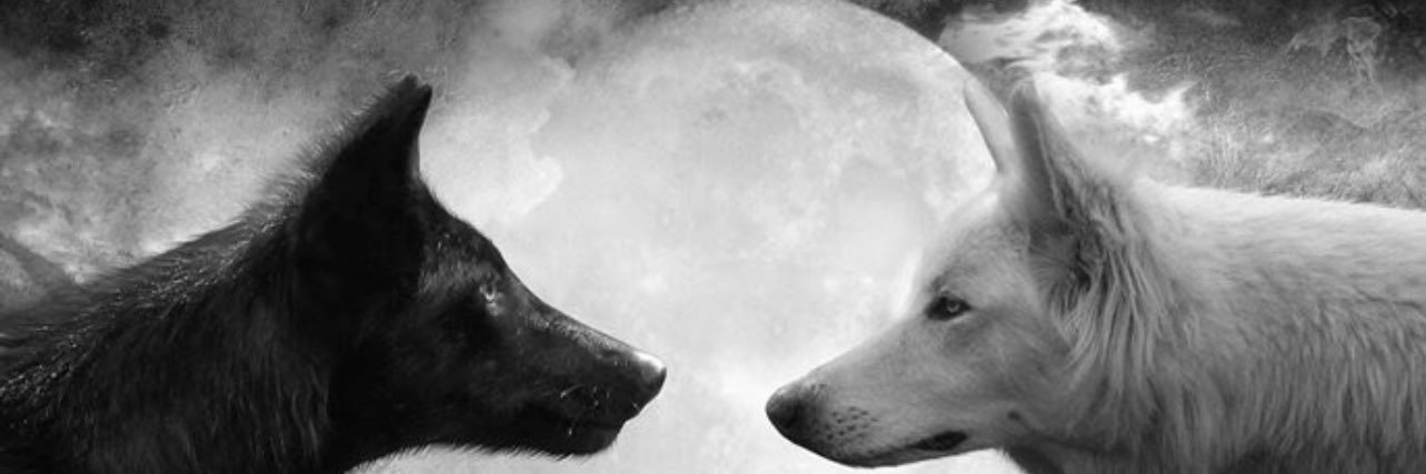 jsantos11_'s profile banner image