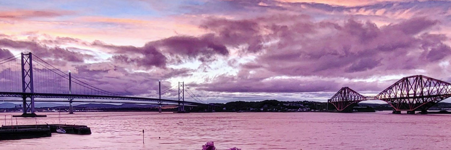 Fiona Morrison banner