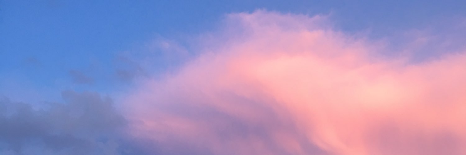 _tiannalevy's profile banner image