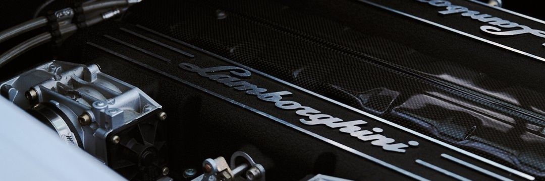 qhafasa's profile banner image