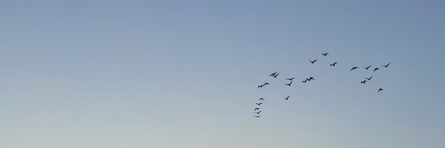 haileyy_11's profile banner image