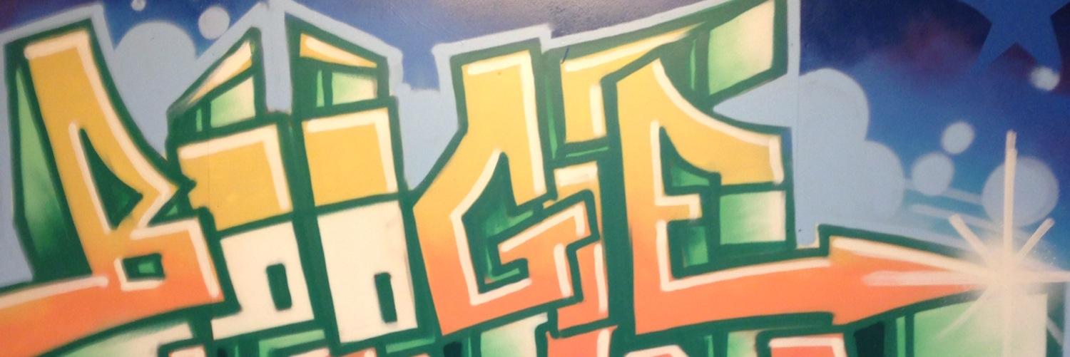 BoogieDownBoz's profile banner image