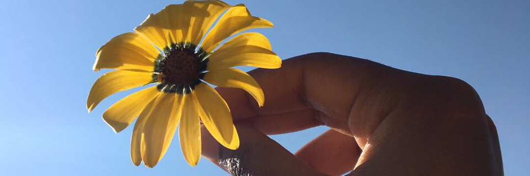 Gugulami_K's profile banner image