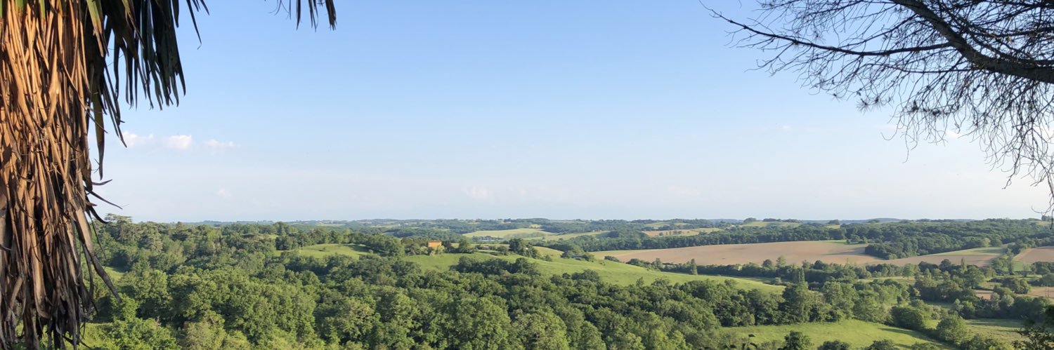 Vincent C banner