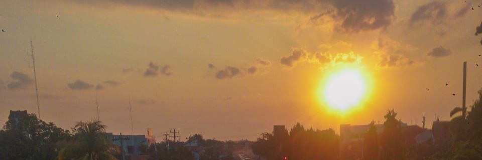culmaricul's profile banner image