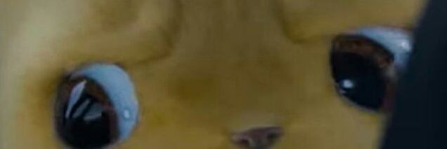 patricinho9's profile banner image