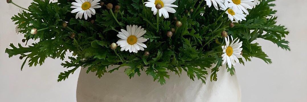 Nastya_fgg's profile banner image