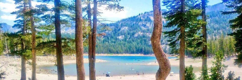 Julie_glantz4's profile banner image
