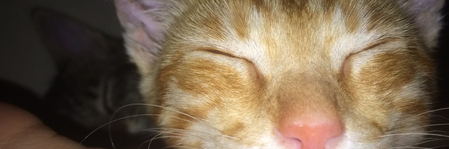 Saturniannn's profile banner image