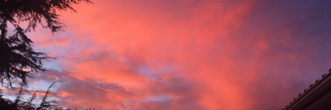 XOsunsetlover's profile banner image