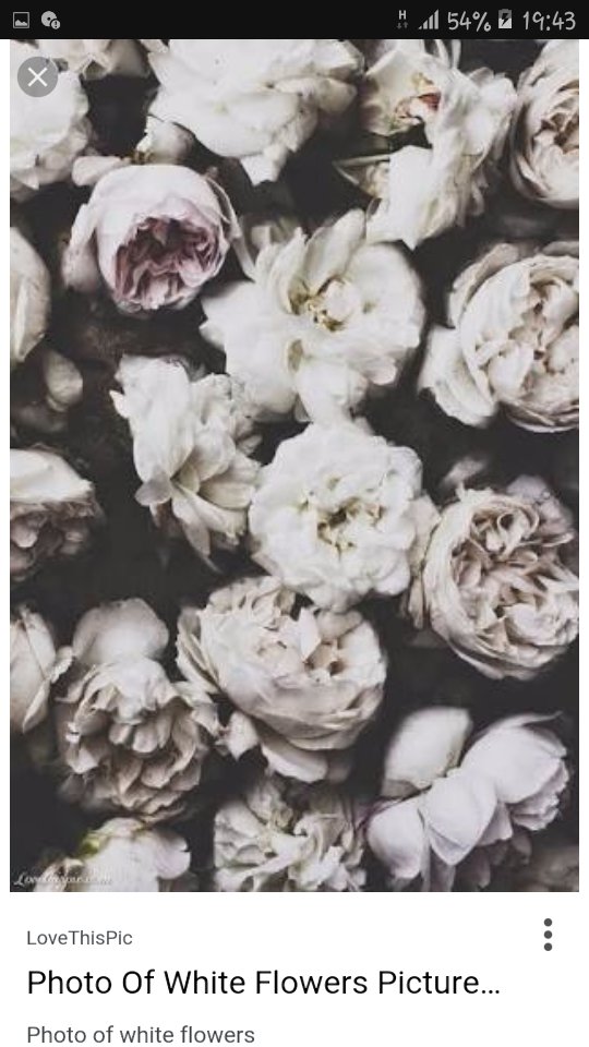 punka_n's profile banner image
