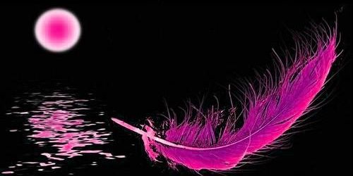 MarisMelgaco's profile banner image