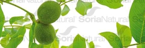 _AraceliMartin's profile banner image