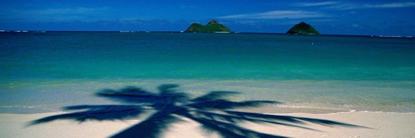 DarineFayed Profile Banner