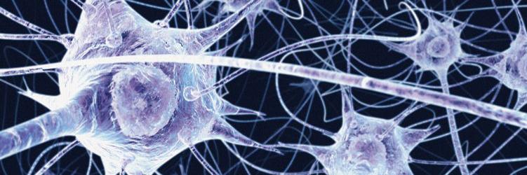 Novoron Bioscience banner