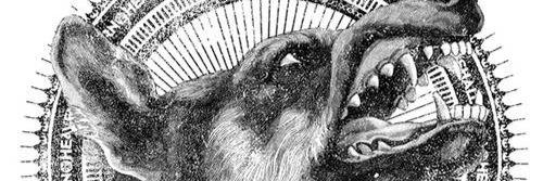 nanookoftheNW's profile banner image