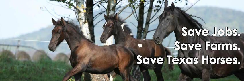 SaveTexasHorses's profile banner image