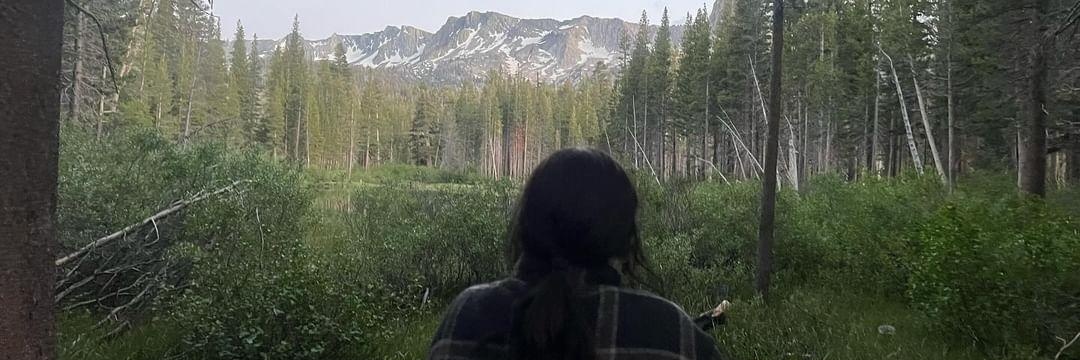 celiaroses's profile banner image