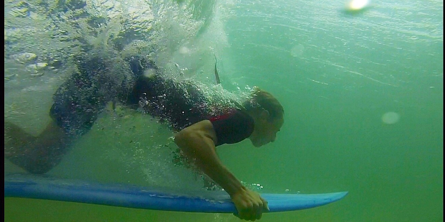 Reece Sarvari banner