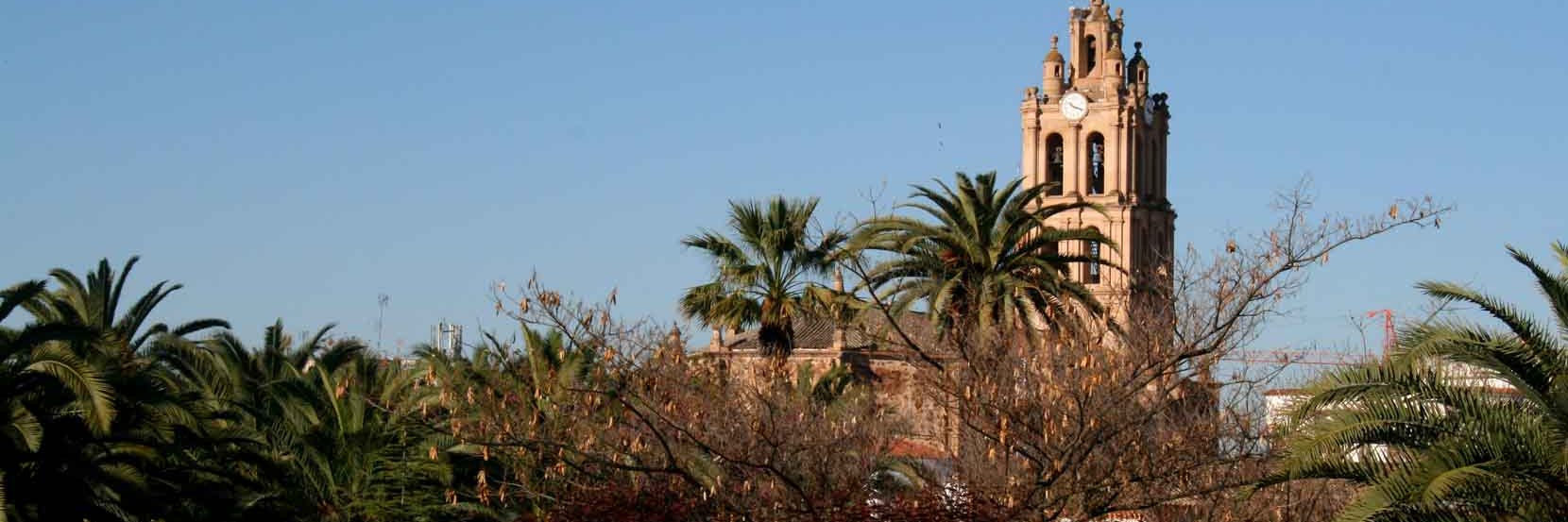 ASEMCE ALMENDRALEJO banner