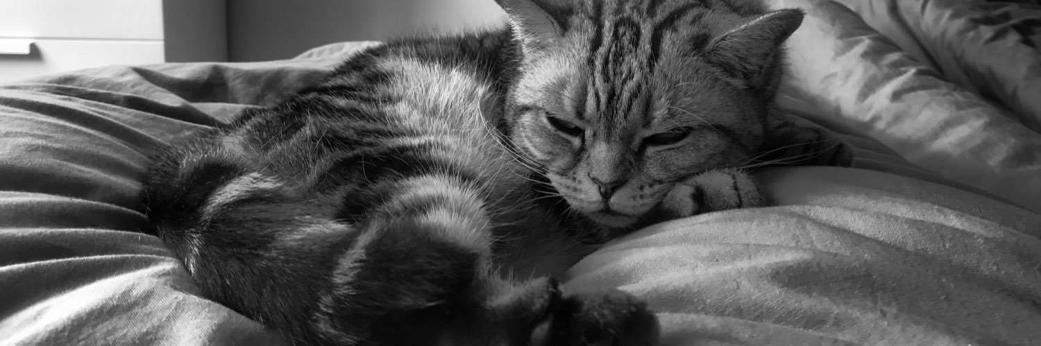 Aziza (inaktiv) ➡️ blauer Himmer banner