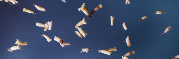 LukeFinland Profile Banner