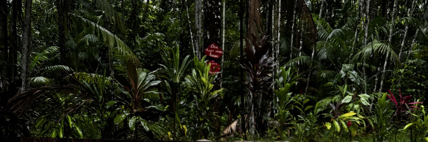 leaozitto's profile banner image