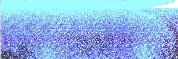 takeuchi333's profile banner image