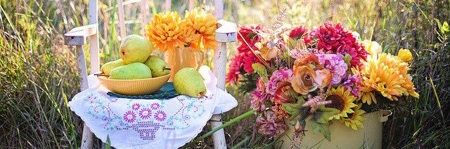 ladyrose752's profile banner image