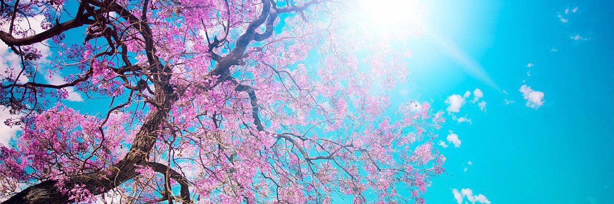 jlstraub's profile banner image