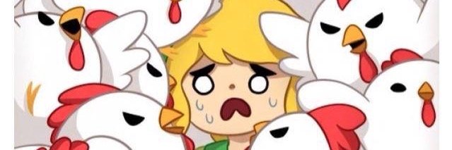 jiarzate's profile banner image